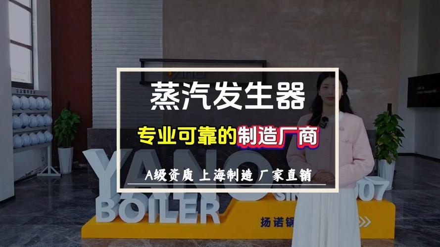 蒸汽发生器生产厂家,医药,纺织,洗涤,化工等行业都可用